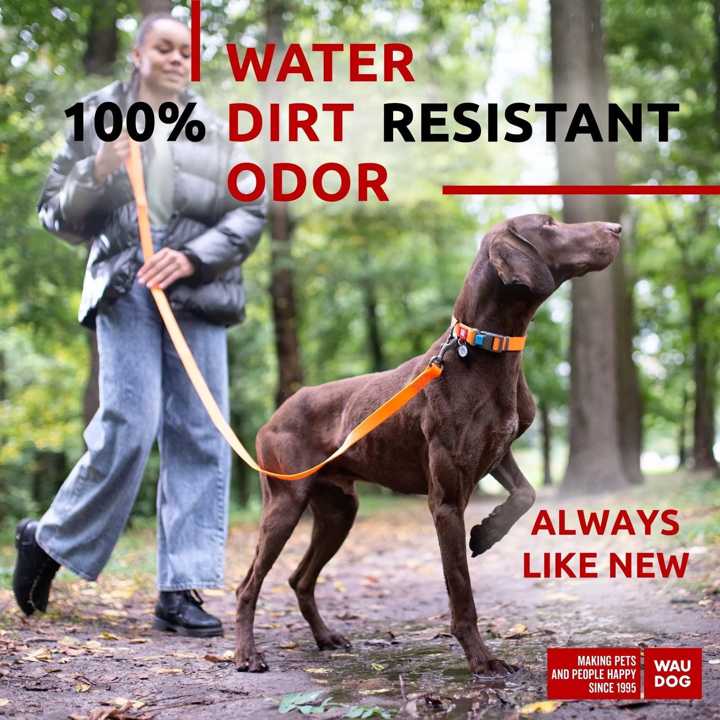 Vibrant Orange 4 Ft Anti-Slip Waterproof Dog Leash for Large Dogs - Built to Last!