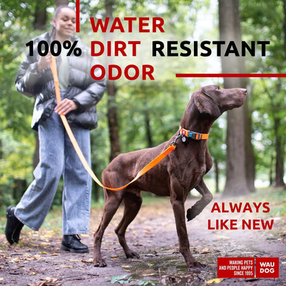 Vibrant Orange 4 Ft Anti-Slip Waterproof Dog Leash for Large Dogs - Built to Last!