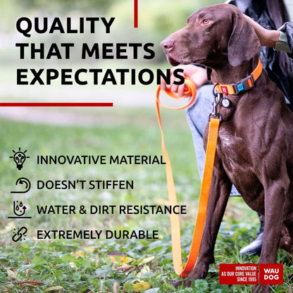 Vibrant Orange 4 Ft Anti-Slip Waterproof Dog Leash for Large Dogs - Built to Last!