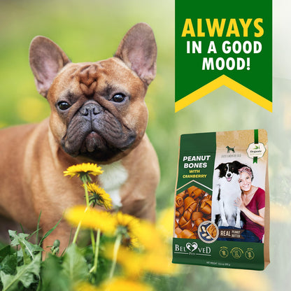 Delicious Dog Peanut Butter Bones with Cranberry - Rawhide-Free Chew Treats!