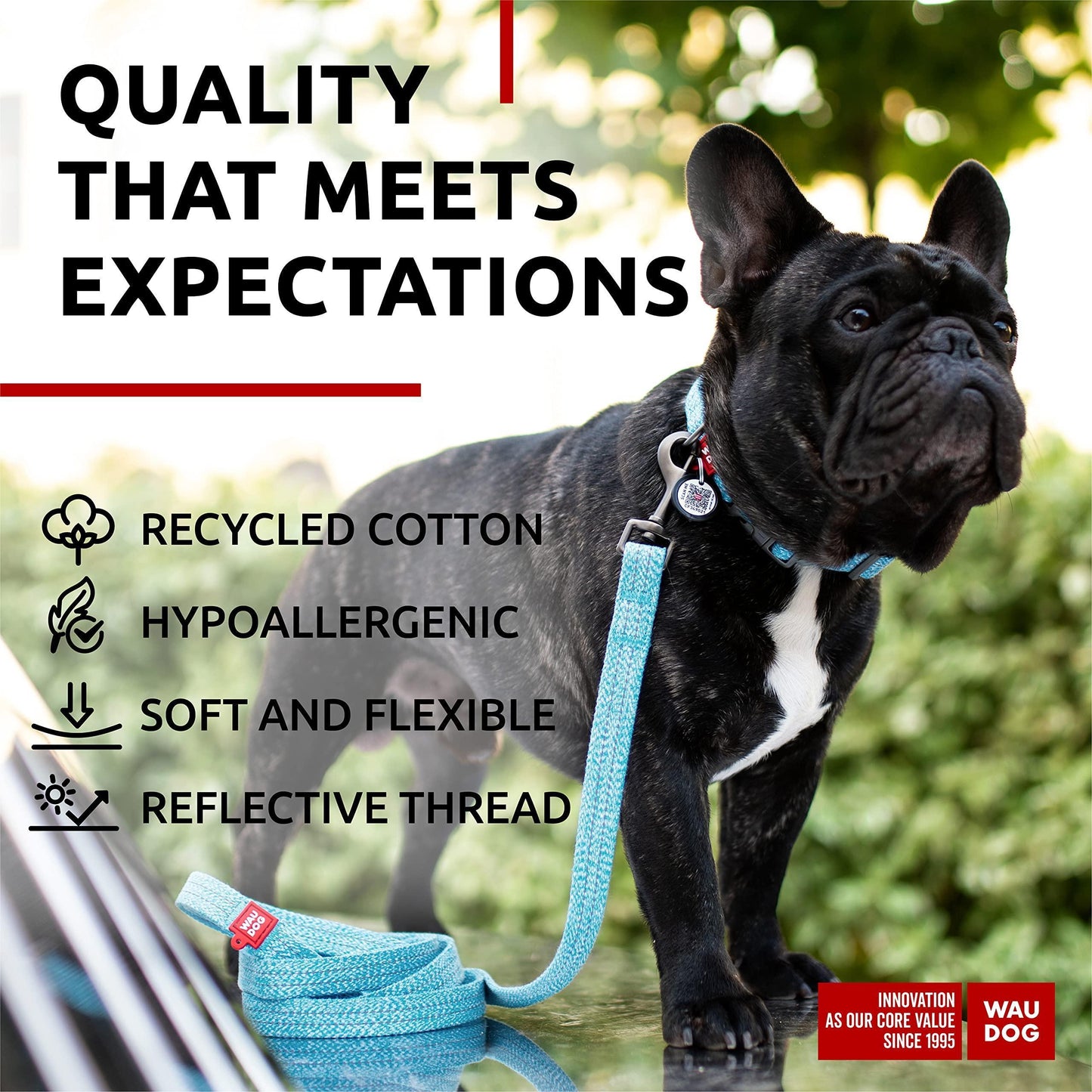 Eco-Friendly Cotton Dog Leash – Durable, Comfortable & Perfect for Daily Walks (10 Ft)