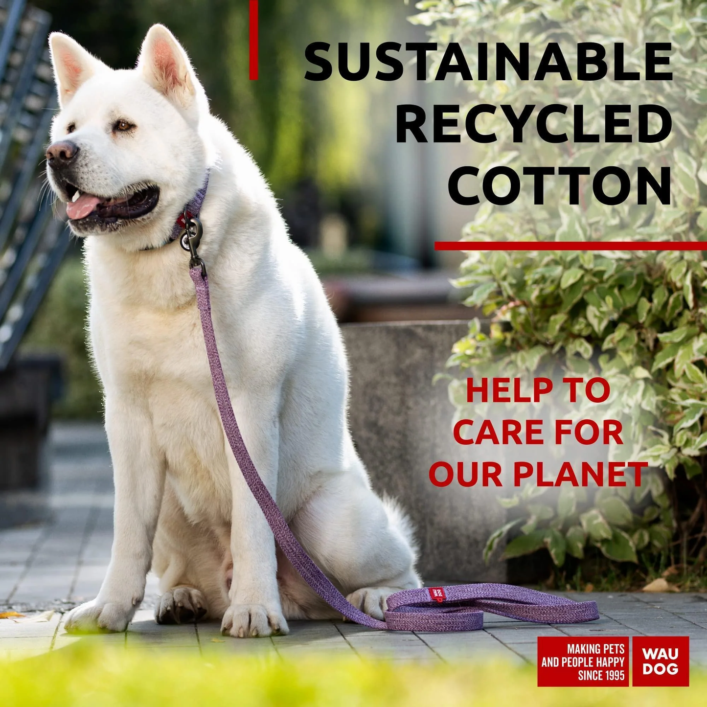 Eco-Friendly Recycled Cotton Dog Leash – Durable, Soft Grip & Comfortable for Medium Dogs (6 Ft)