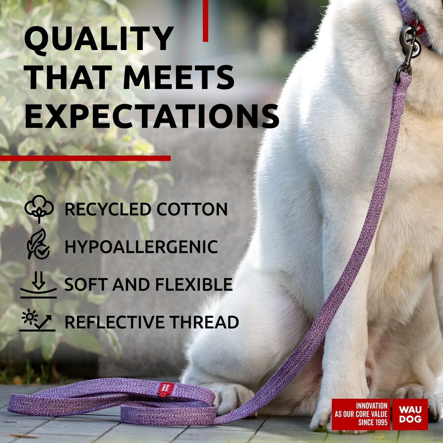 Eco-Friendly Recycled Cotton Dog Leash – Durable, Soft Grip & Comfortable for Medium Dogs (6 Ft)