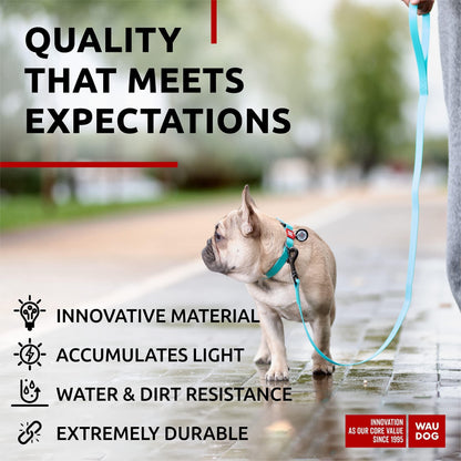 Waterproof Dog Leash – Anti-Slip Grip, Durable & Comfortable for Small, Medium & Large Dogs (4 Ft)