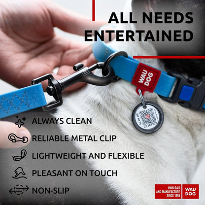 Durable Waterproof Blue Dog Leash - 4 Ft x 1 Inch Anti-Slip Design for Large and Small Breeds