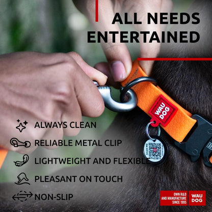 Vibrant Orange 4 Ft Anti-Slip Waterproof Dog Leash for Large Dogs - Built to Last!